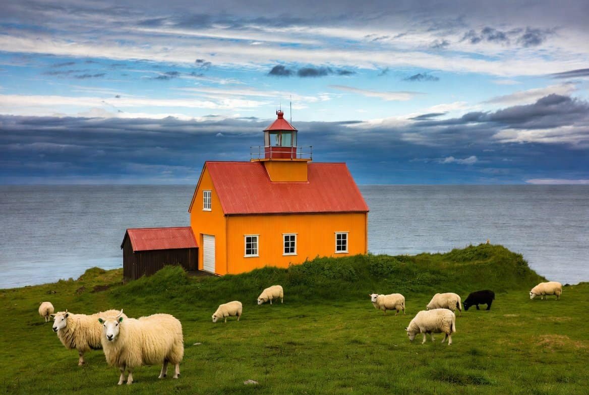 Icelandic lighthouse on green cliff with sheep and ocean - crypto weekly roundup featured image